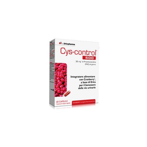 CYS CONTROL 60CPS