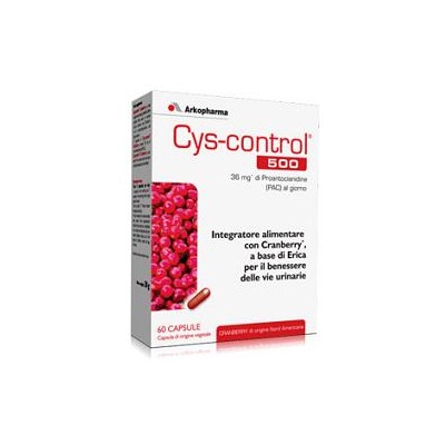 CYS CONTROL 60CPS