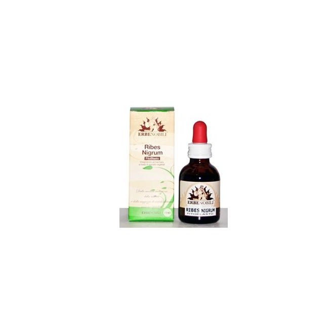 FITOBLASTO RIBES NIGRUM 50ML