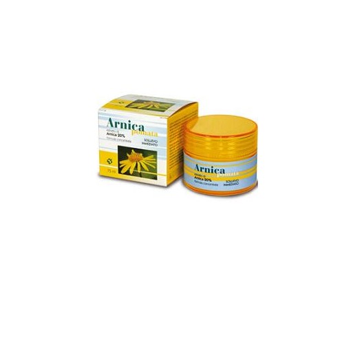 ARNICA POMATA 75ML