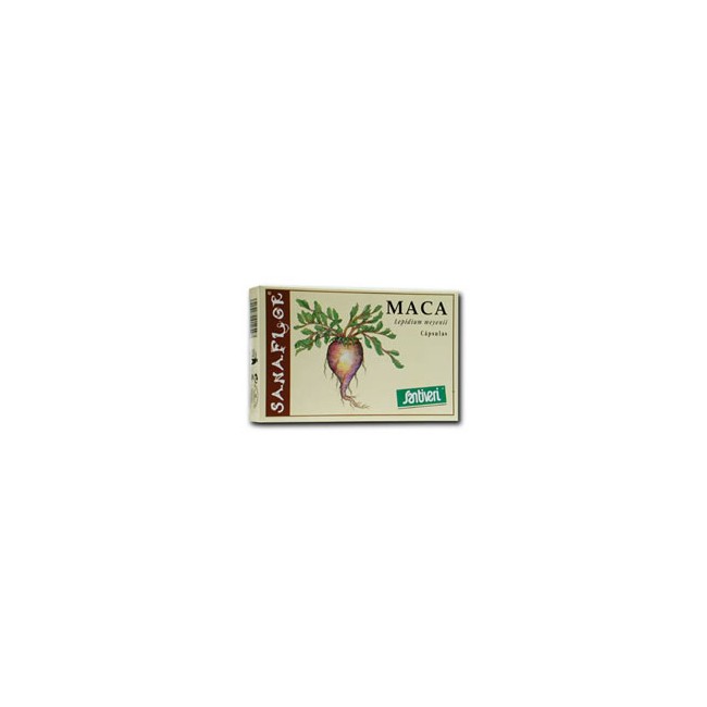 MACA 60CPS 26G STV