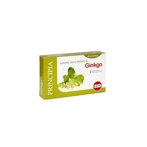 GINKGO BILOBA ESTR SEC 60CPR