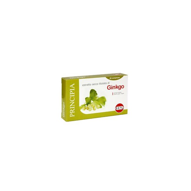 GINKGO BILOBA ESTR SEC 60CPR