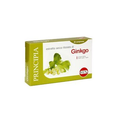 GINKGO BILOBA ESTR SEC 60CPR