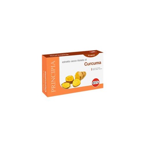 CURCUMA ESTRATTO SECCO 30CPS