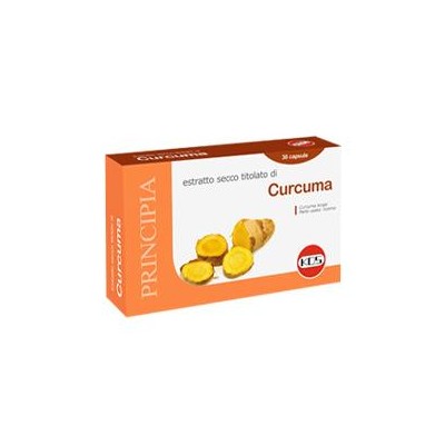 CURCUMA ESTRATTO SECCO 30CPS