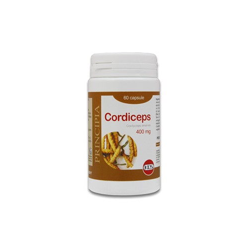 CORDICEPS ESTRATTO SECCO 60CPS