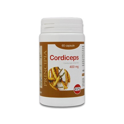 CORDICEPS ESTRATTO SECCO 60CPS