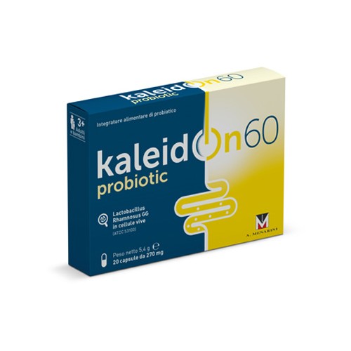 KALEIDON 60 20CPS