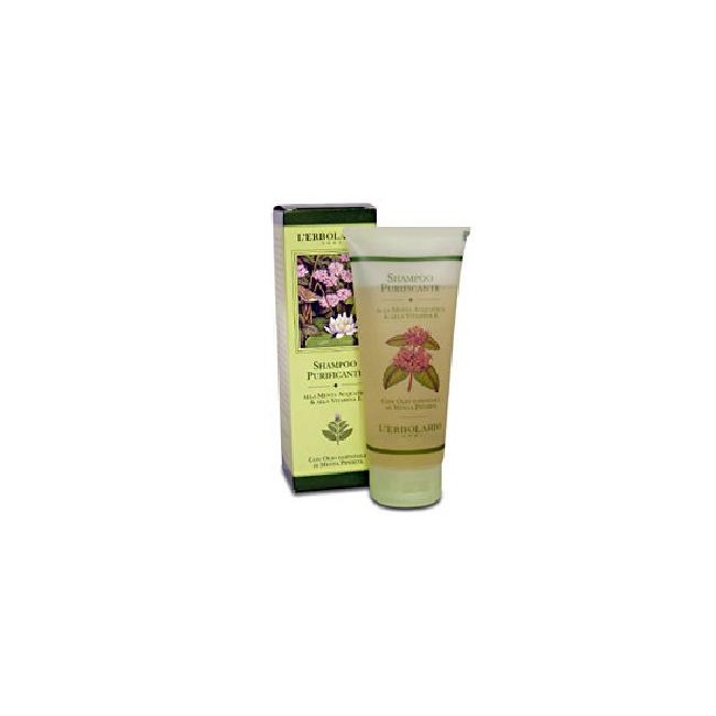 SHAMPOO PURIF MENT ACQ/VITAM E