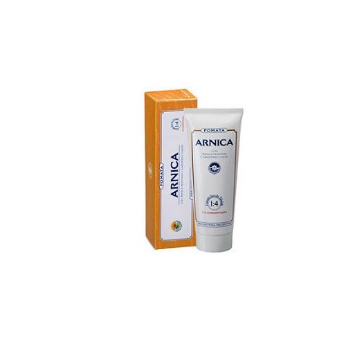 ARNICA FORTE POMATA 100ML