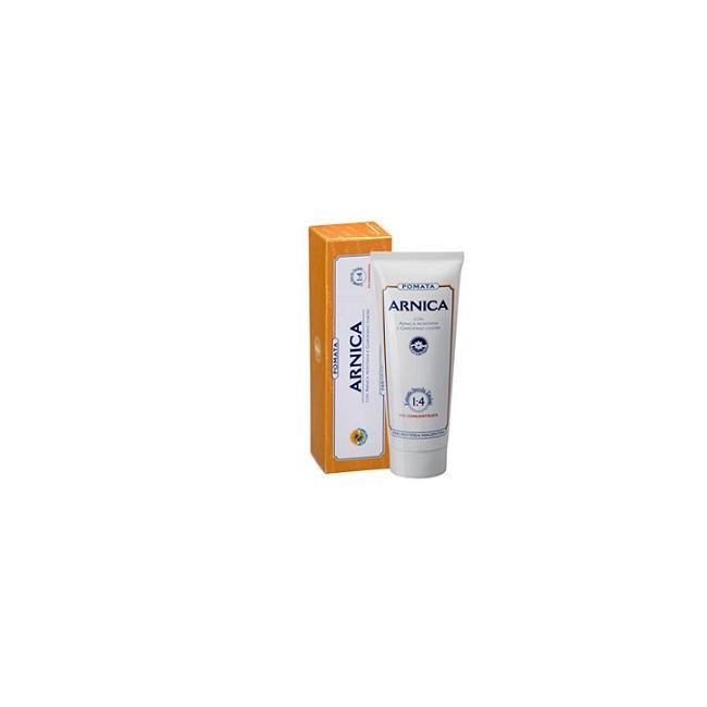 ARNICA FORTE POMATA 100ML