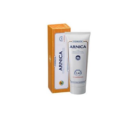 ARNICA FORTE POMATA 100ML