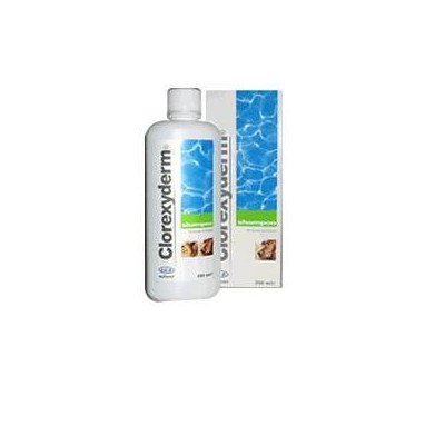CLOREXYDERM SHAMPOO 250ML