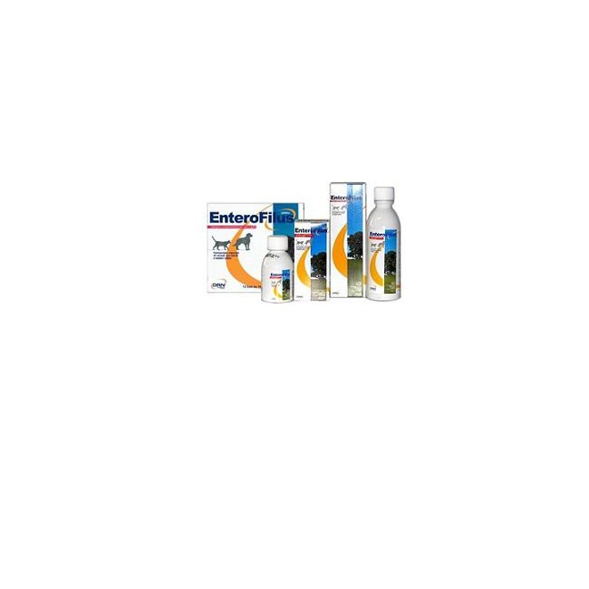 ENTEROFILUS 12X10ML