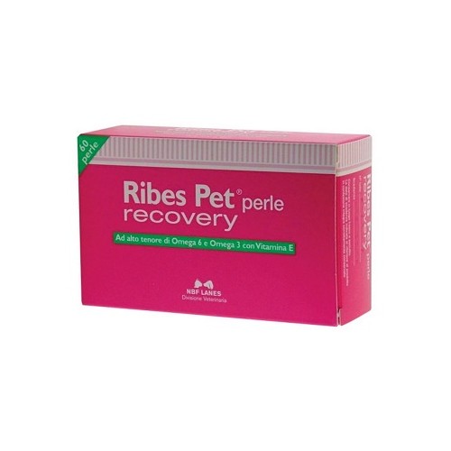 RIBES PET RECOVERY 60PRL