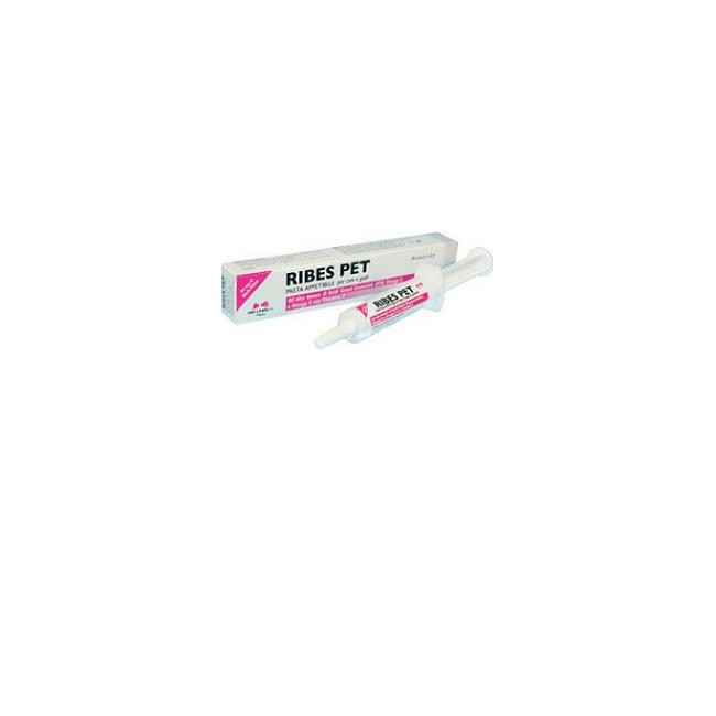 RIBES PET PASTA 30G