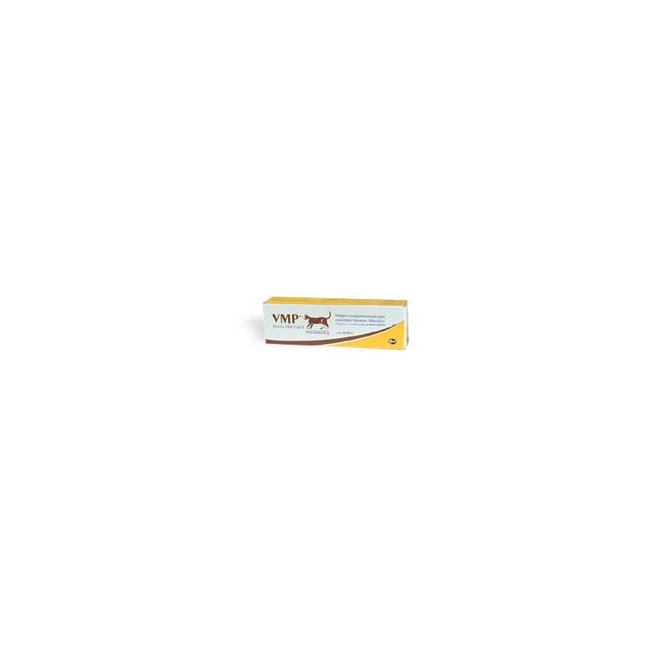 VMP PASTA GATTI 50G
