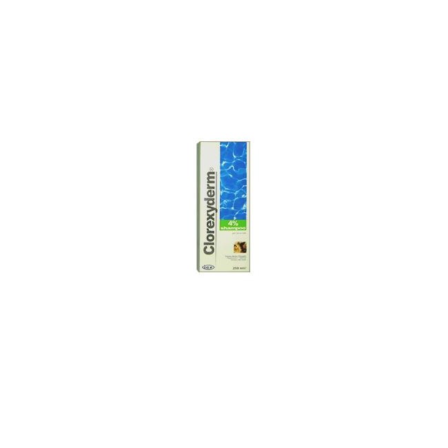 CLOREXYDERM SH 4% 250ML