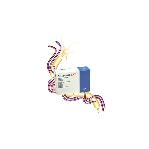 MICRONIL DOL 14BUST