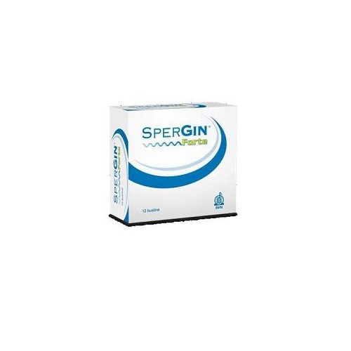 SPERGIN FORTE 12BUST