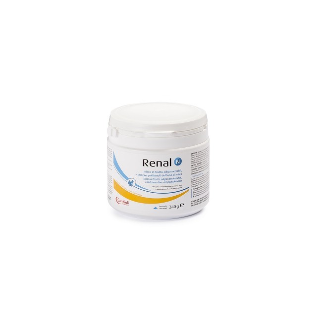 RENAL N 240G
