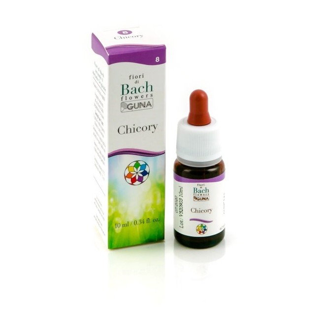 CHICORY GUN GTT 10ML