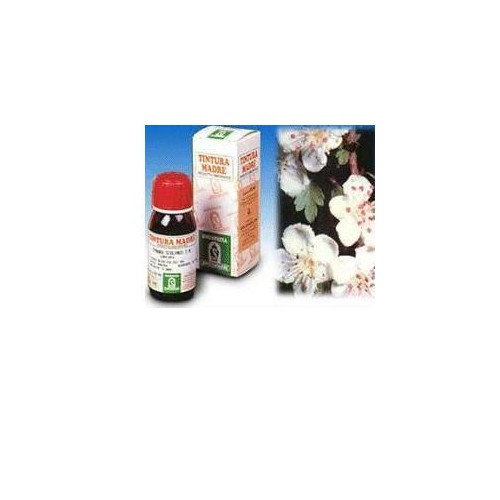BIANCOSPINO 10 50ML TM