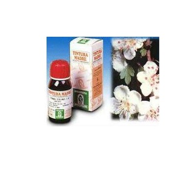 BIANCOSPINO 10 50ML TM