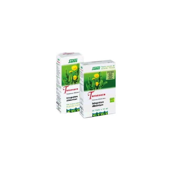 TARASSACO SUCCO 200ML BIO