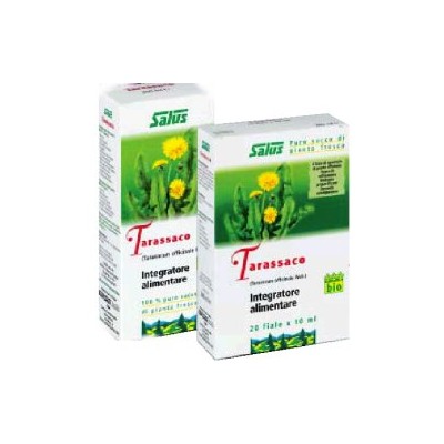 TARASSACO SUCCO 200ML BIO