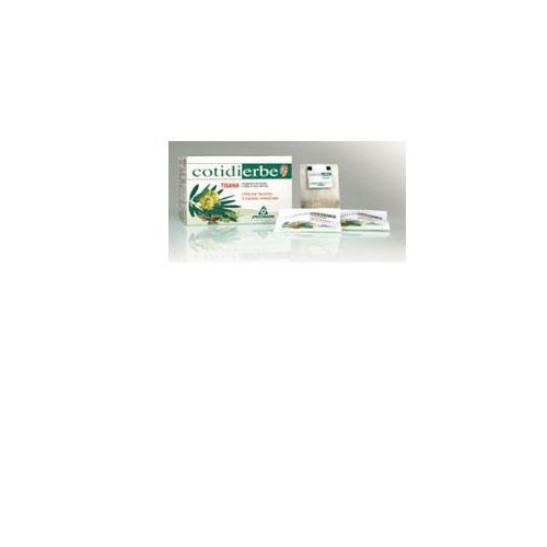 COTIDIERBE TISANA 15BUST 27G