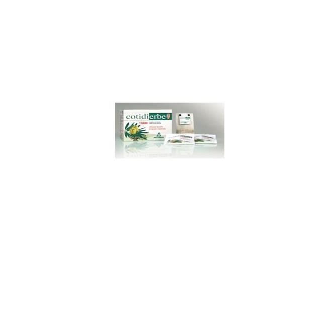 COTIDIERBE TISANA 15BUST 27G
