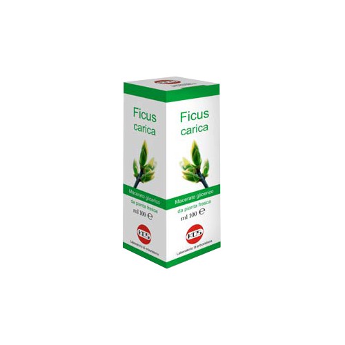 FICUS CARICA MG 100ML GTT