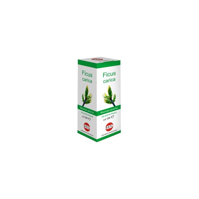 FICUS CARICA MG 100ML GTT
