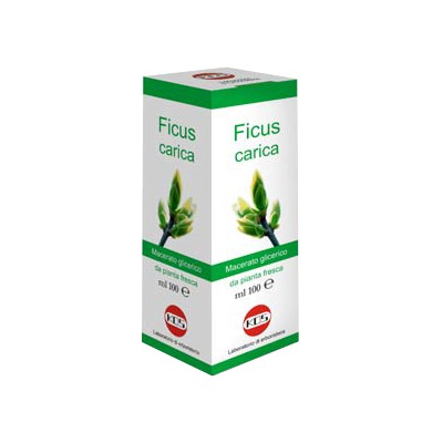 FICUS CARICA MG 100ML GTT