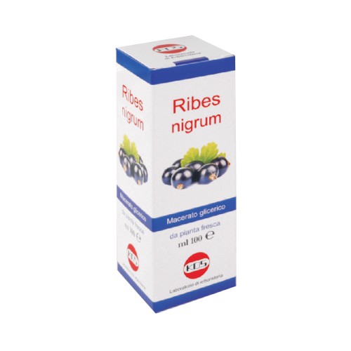 RIBES NIGRUM MG 100ML GTT