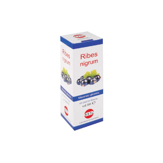 RIBES NIGRUM MG 100ML GTT