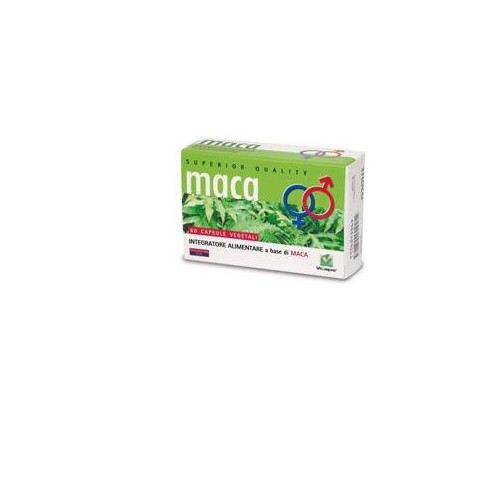 MACA 60CPS