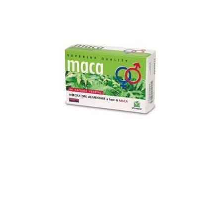 MACA 60CPS