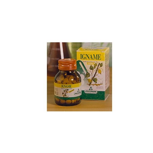 IGNAME ERBE 60TAV