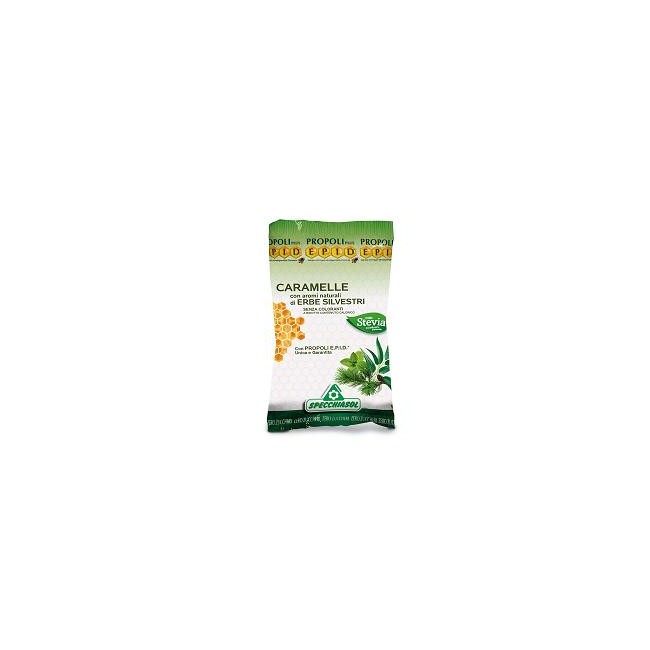 EPID CARAM ERBE S/ZUCCH 24PZ