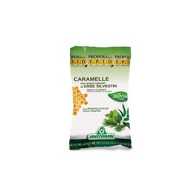 EPID CARAM ERBE S/ZUCCH 24PZ