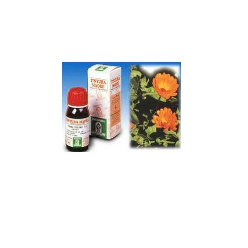 CALENDULA OFF 5 50ML TM