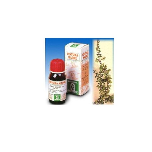 UVA URSINA 30 50ML TM