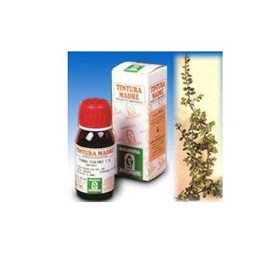 UVA URSINA 30 50ML TM