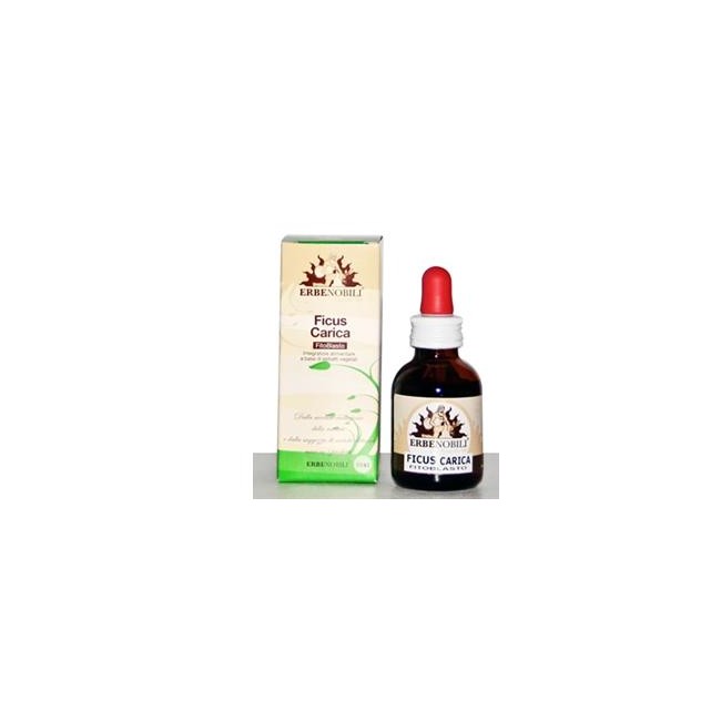 FITOBLASTO FICUS CARICA 50ML