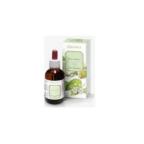 PILOSELLA AEREE EI 50ML