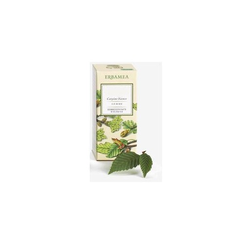 FICUS CARICA GEMME GD BIO