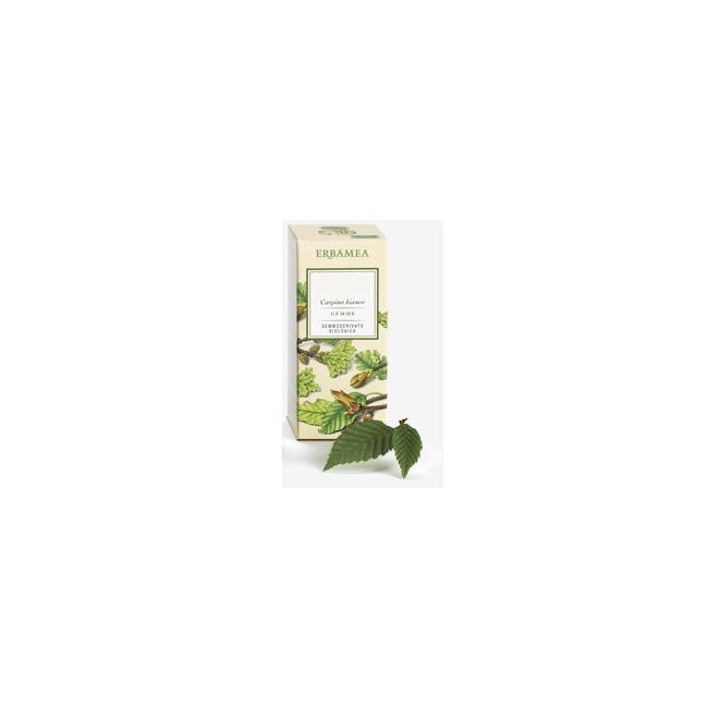 FICUS CARICA GEMME GD BIO